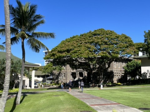 Punahou students are currently allowed to go without masks outdoors.