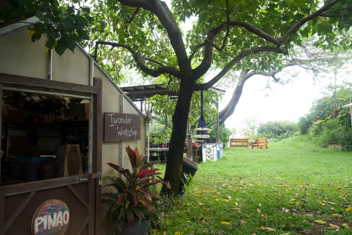Sustainability at Punahou: The School’s Role in Environmental Stewardship