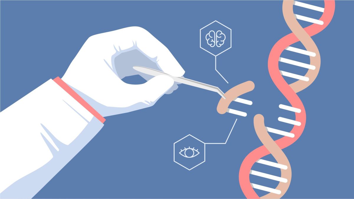 The Future of Human Evolution: Risks and Ethics in the Age of Gene Editing
