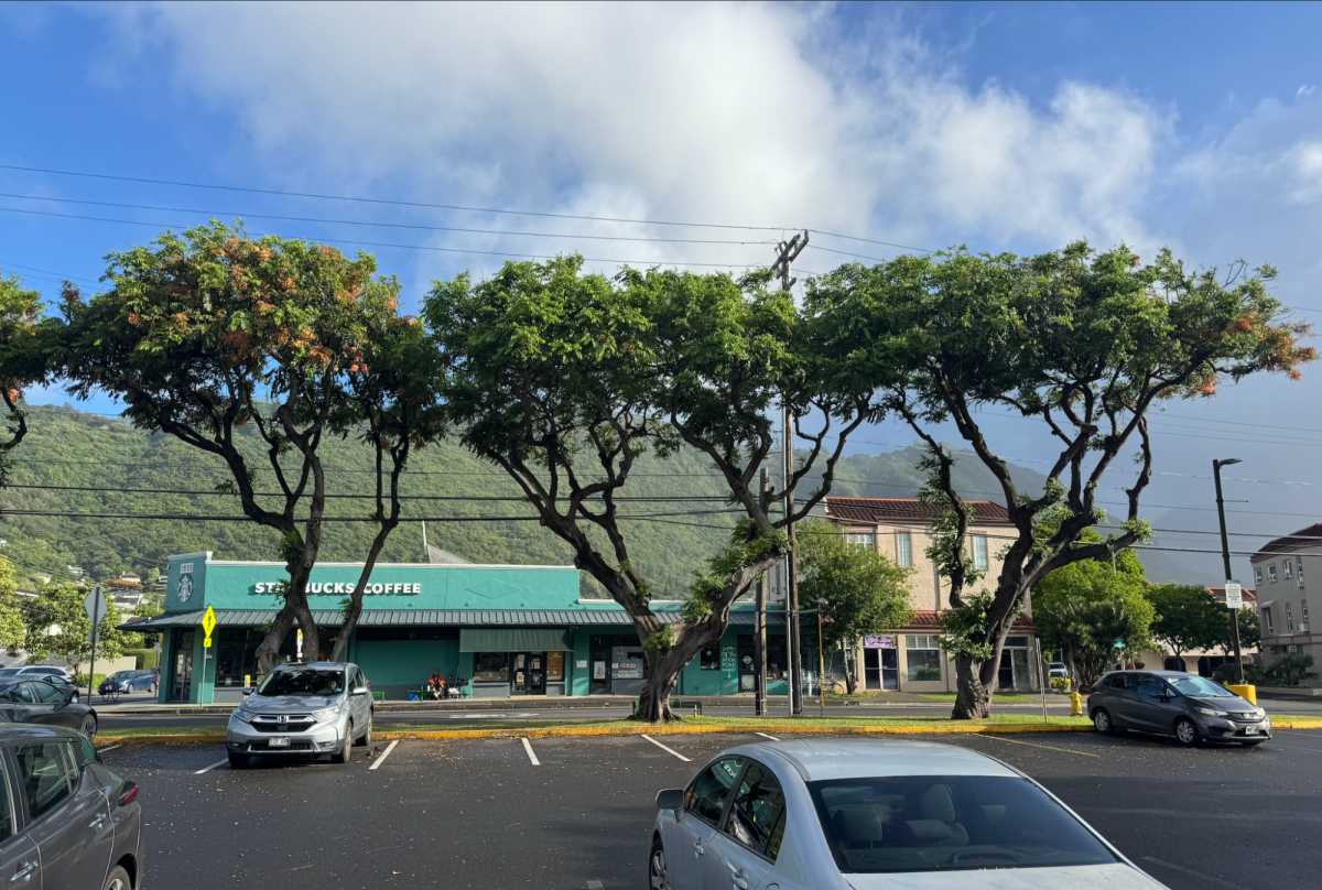 Manoa Marketplace: Off-Campus Hotspot for Seniors